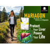 MARIAGON 140 MG ( SILYMARIN ) DIETARY SUPPLEMENT 30 CAPSULES